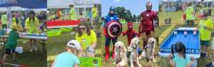 Collage of happy volunteers and guests at Family Fun Festival